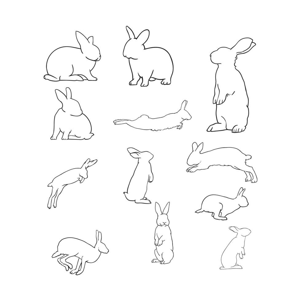 rabbit outline hand drawn collection vector