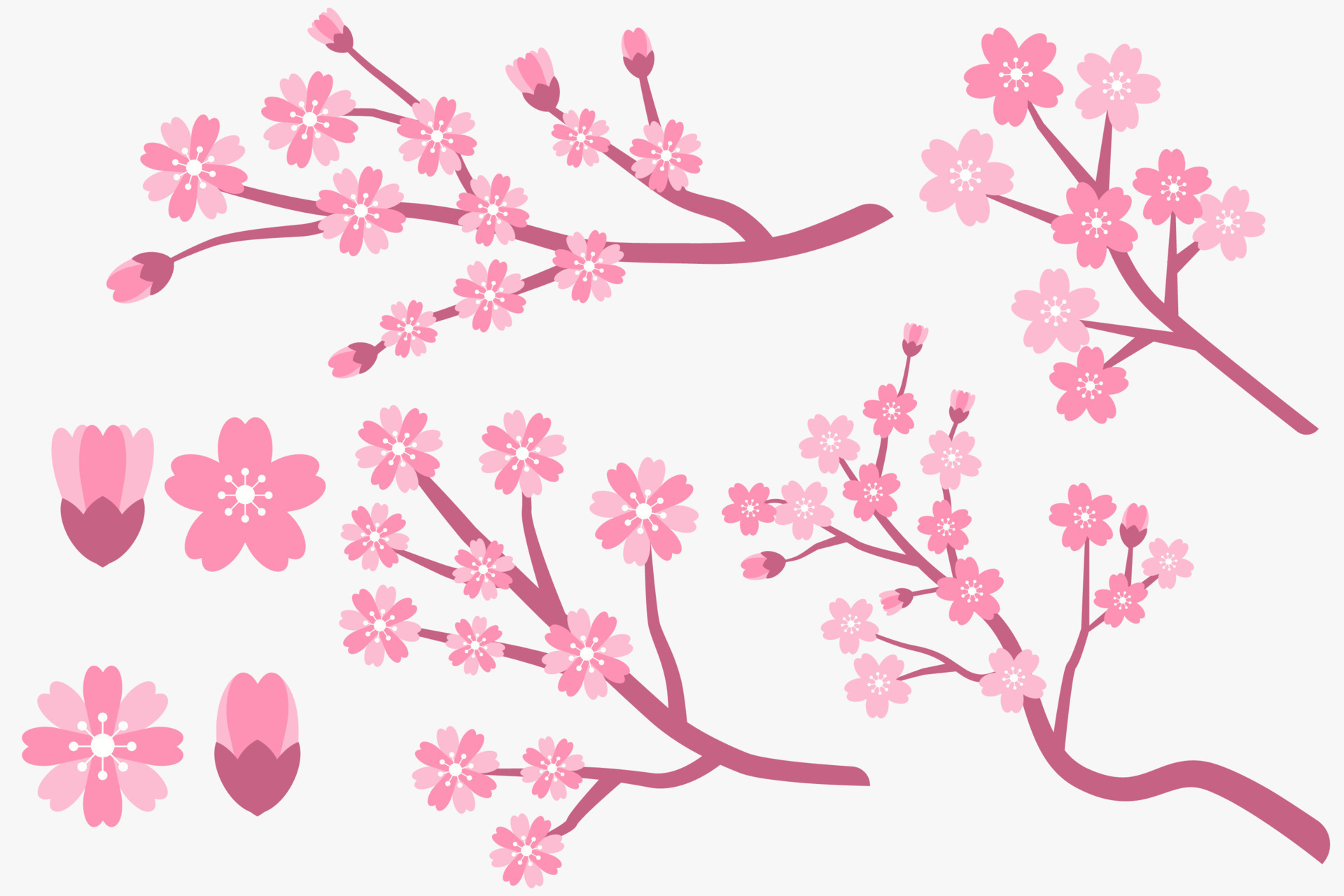 flat design cherry blossom, sakura branches and flowers collection 20706558  Vector Art at Vecteezy