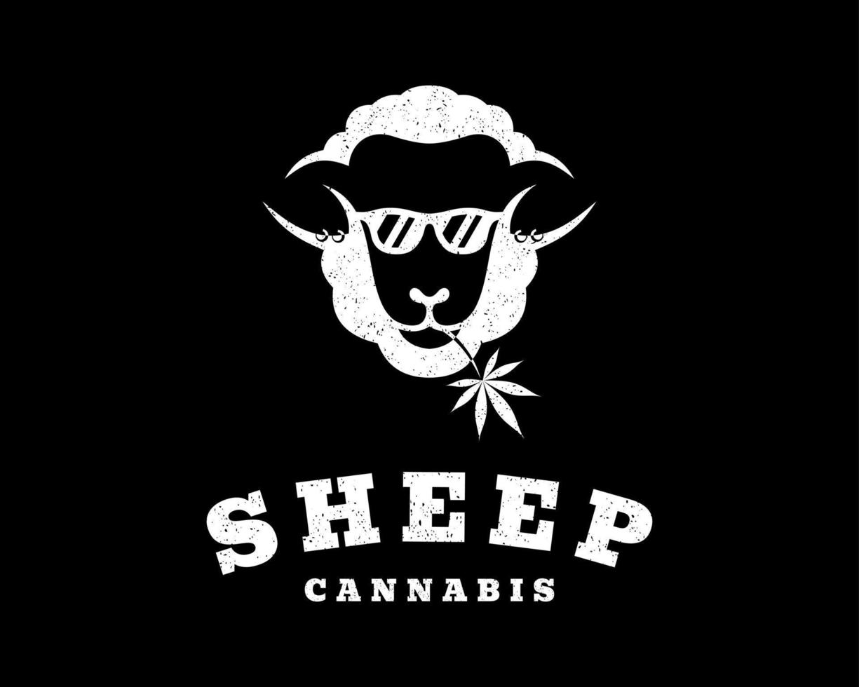 Vintage Retro Sheep Lamb Cattle Livestock Stylish Domestic Animal Hemp Cannabis Vector Logo Design