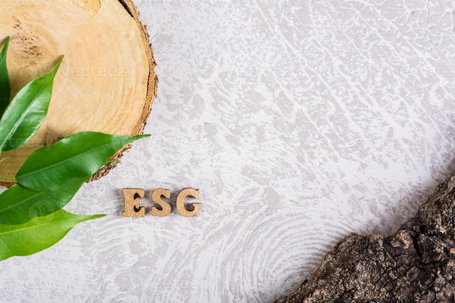 ESG environmental social management policy. Letters, leaves and bark on a gray background photo