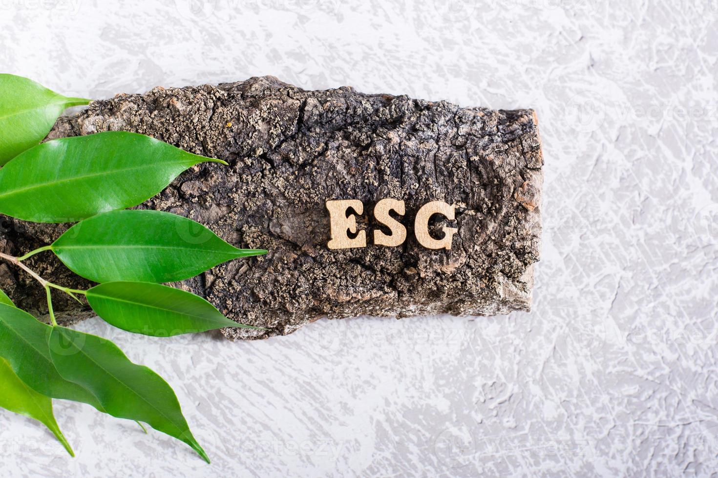 ESG environmental social management policy. Letters on the bark of a tree with leaves on a gray photo