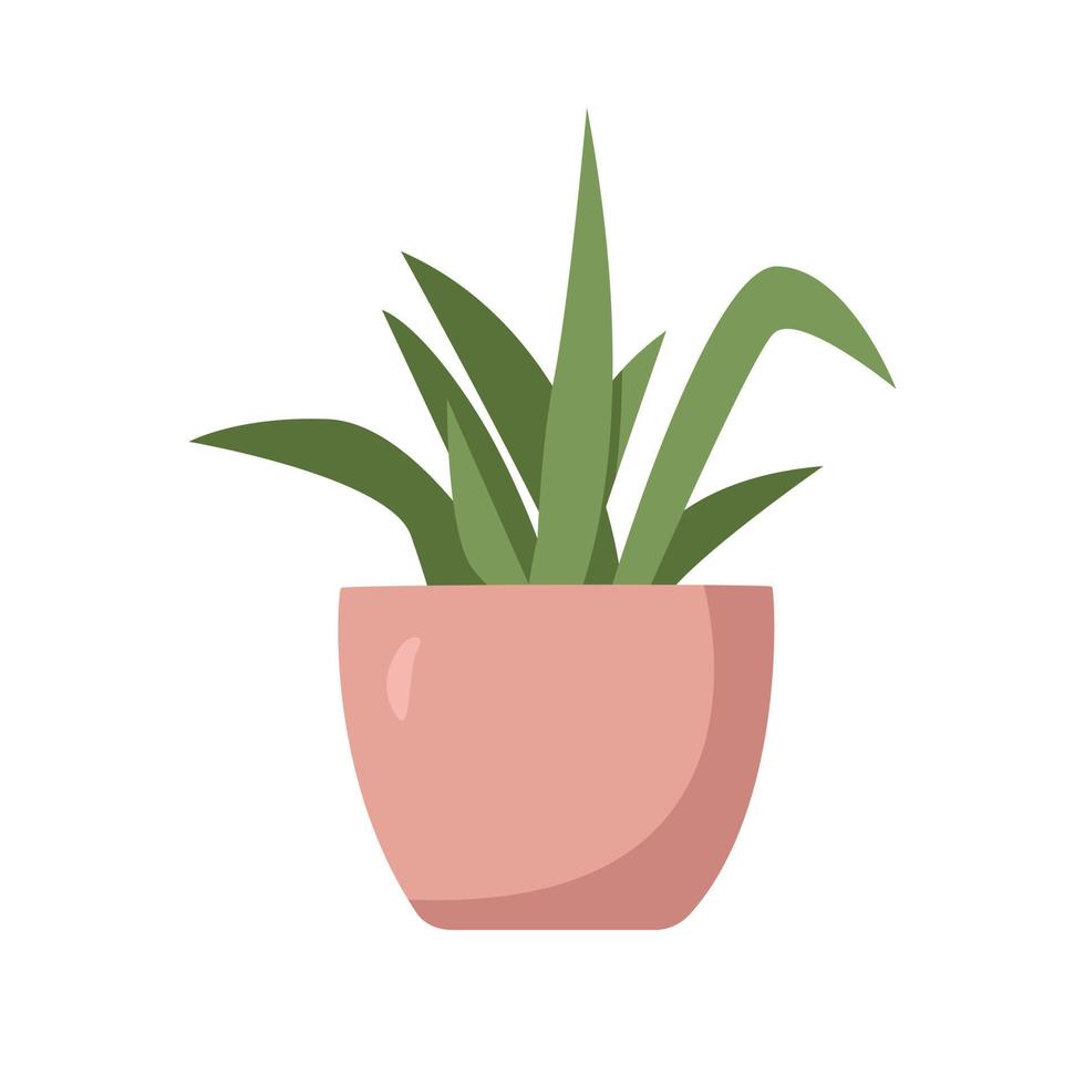 Small plant pot in flat style vector illustration. Simple plant pot in the living room or bathroom clipart cartoon style, hand drawn doodle style. Cute vector illustration