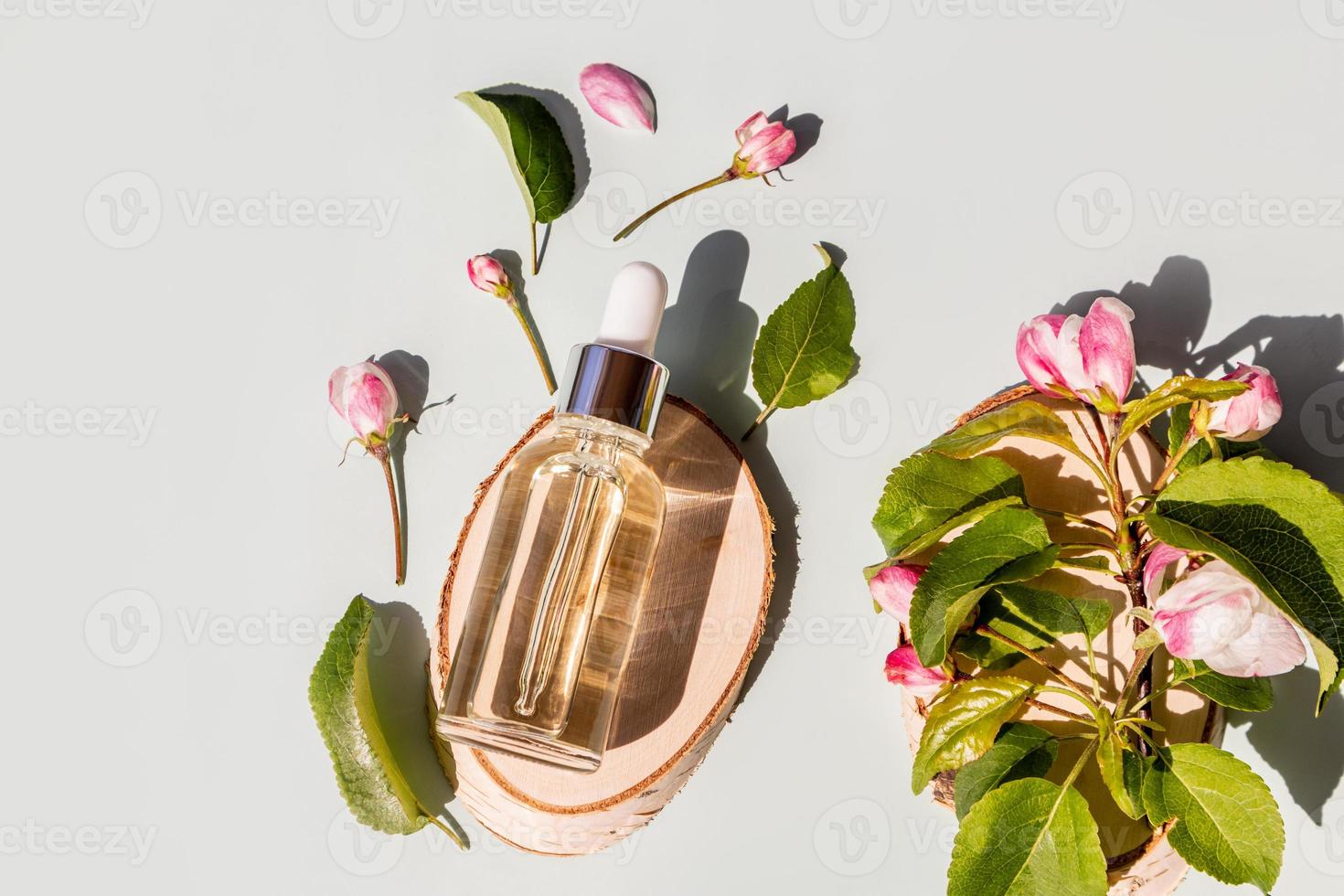 a transparent cosmetic bottle with a natural face and body care product lies on a wooden tree slice among the spring flowers of an apple tree. photo