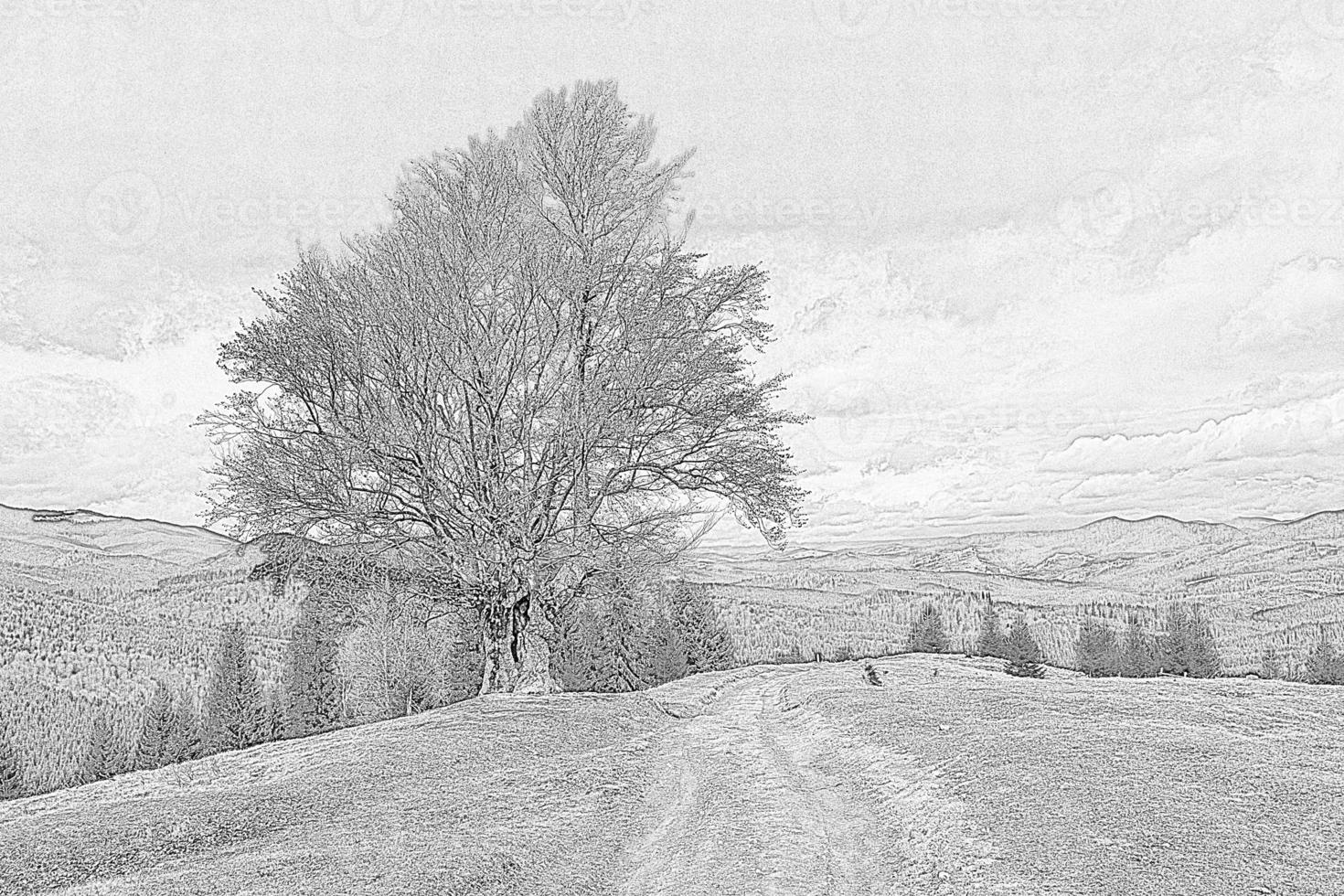 Muddy grass slope with overgrown tree engraving hand drawn sketch photo