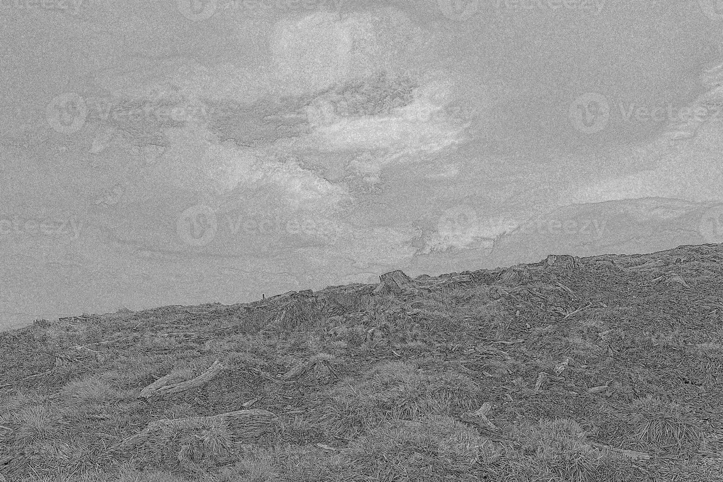 Highland valley with dry grass and broken stump engraving hand drawn sketch photo