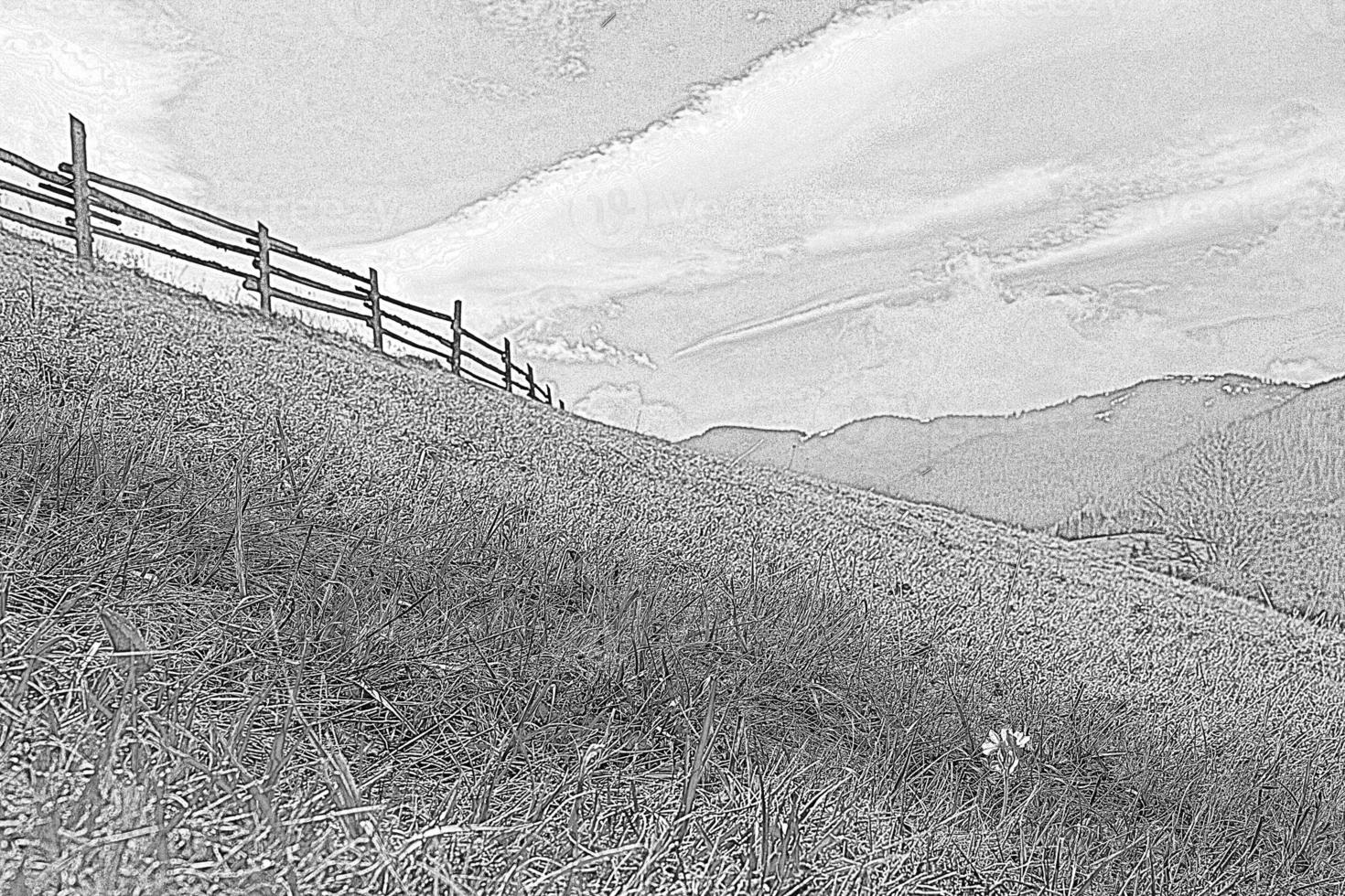 Wooden fence on grassy slope engraving hand drawn sketch photo
