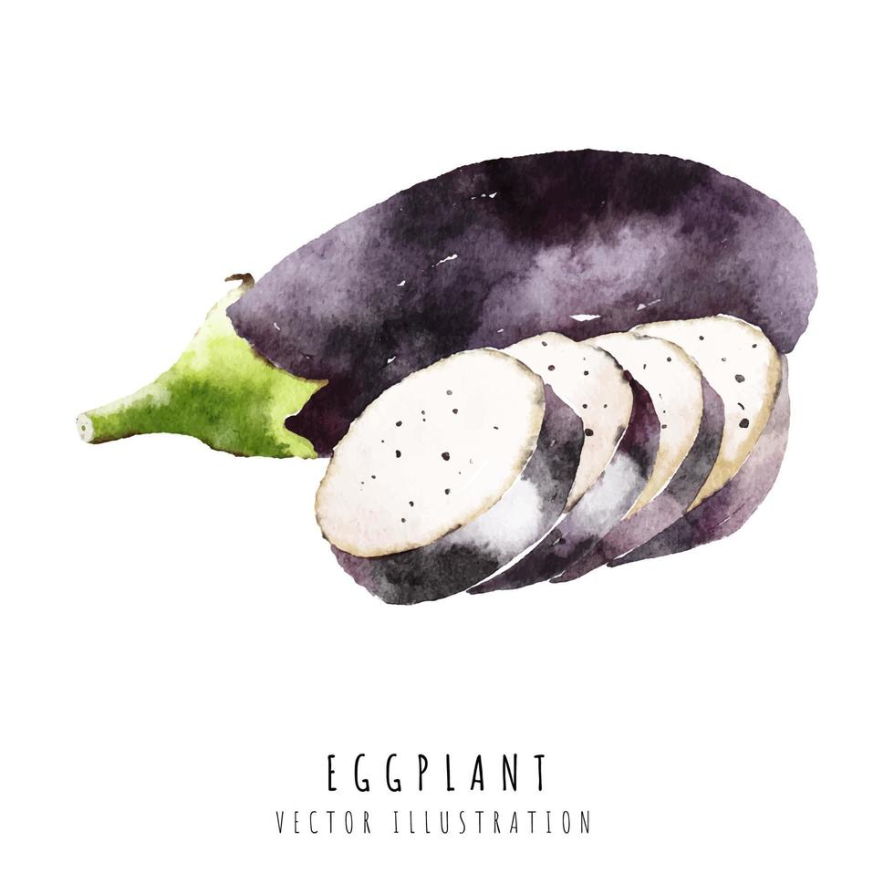 Eggplant slice hand drawn watercolor painting isolated on white background vector