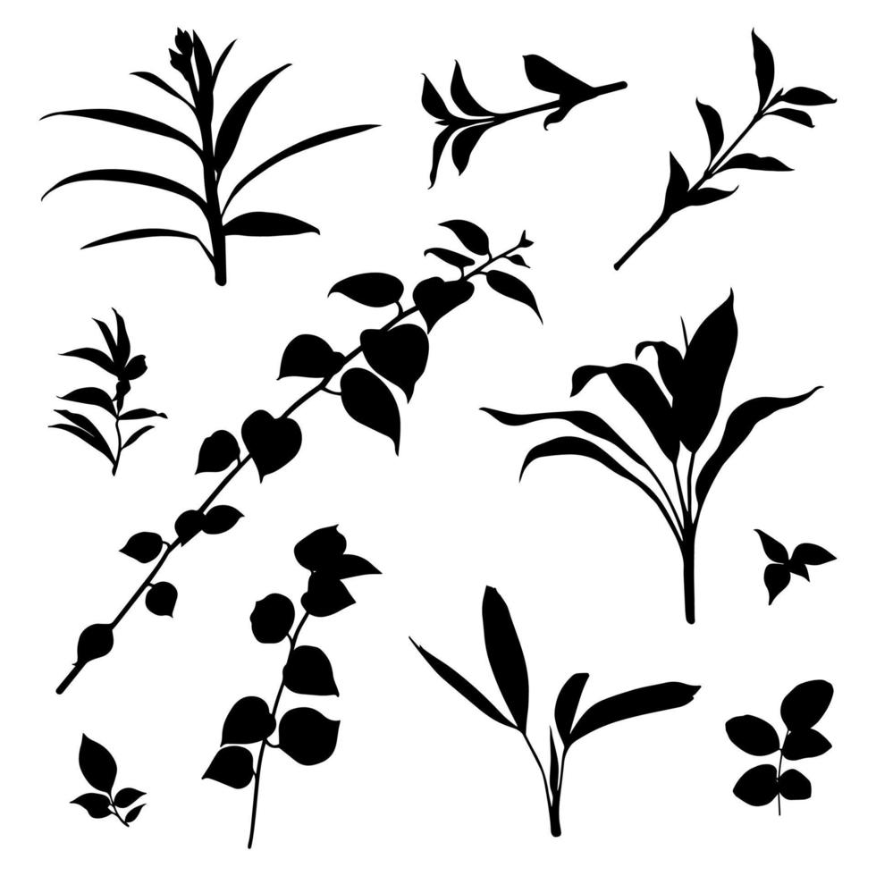 set various types of leaves. silhouette. vector. perfect for use as motif elements, templates, backgrounds vector