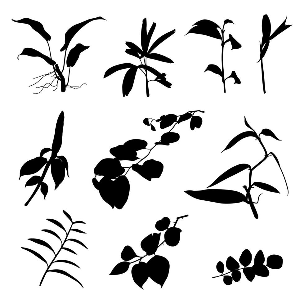 silhouette. set various types of leaves. vector. perfect for use as motif elements, templates, backgrounds, greeting cards, invitation cards and can also beautify your design vector