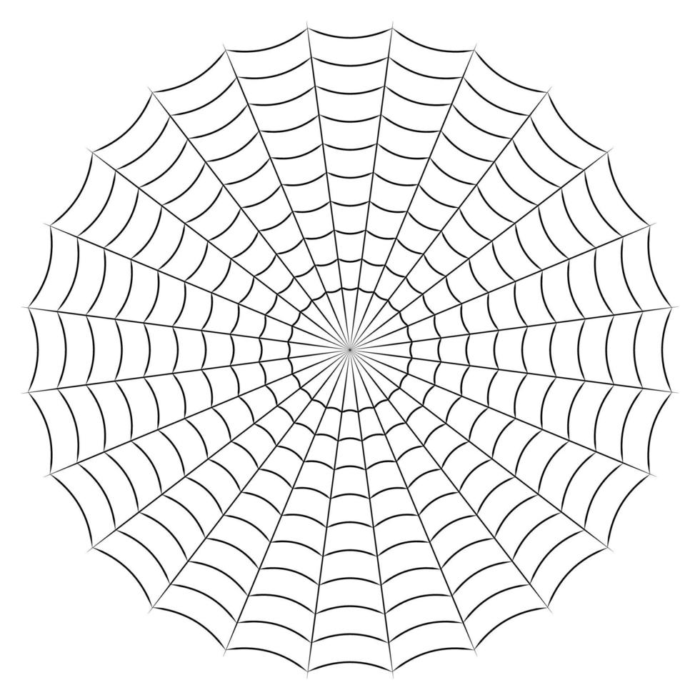 Round spider cobweb simple linear stock illustration vector