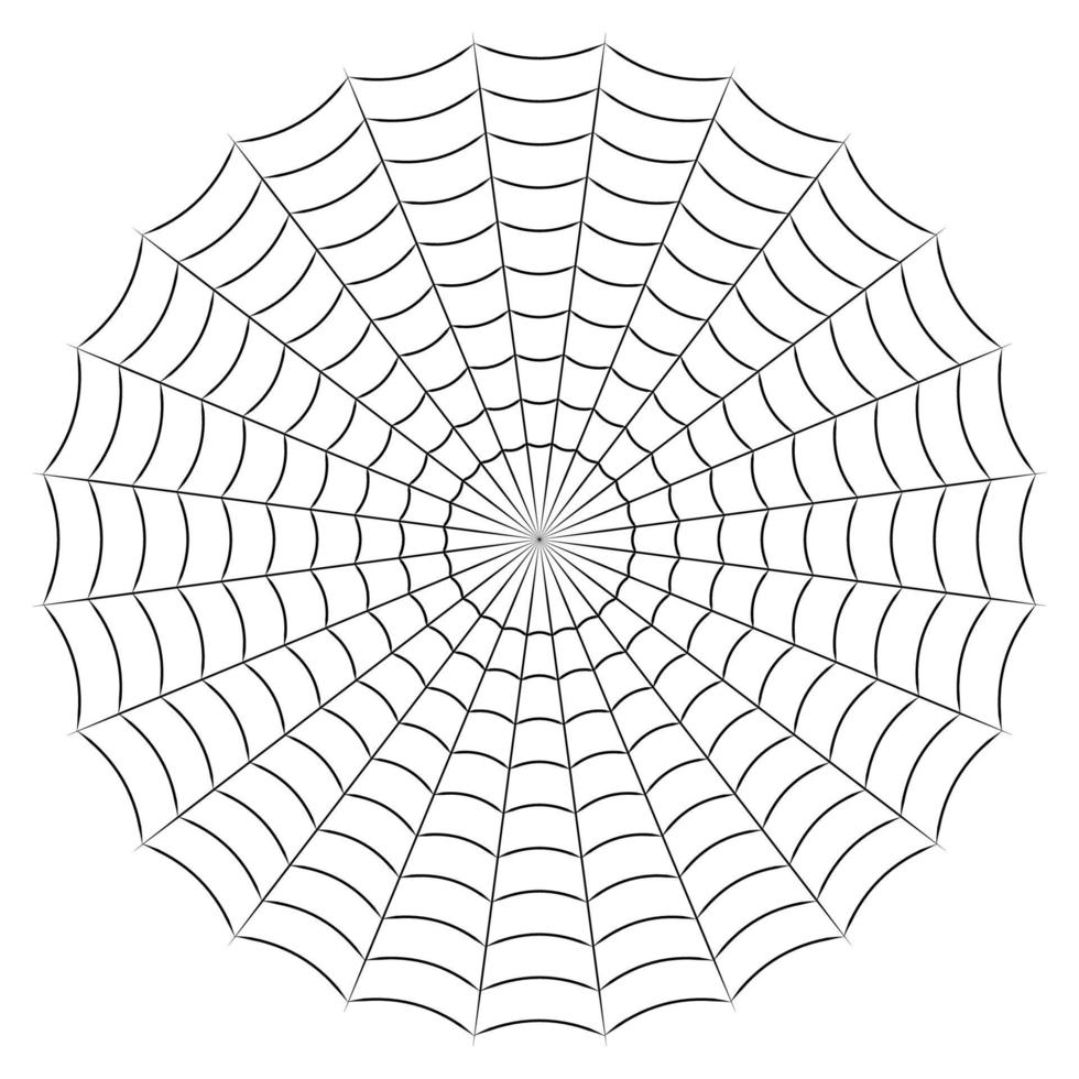 Round spider cobweb simple linear stock illustration vector