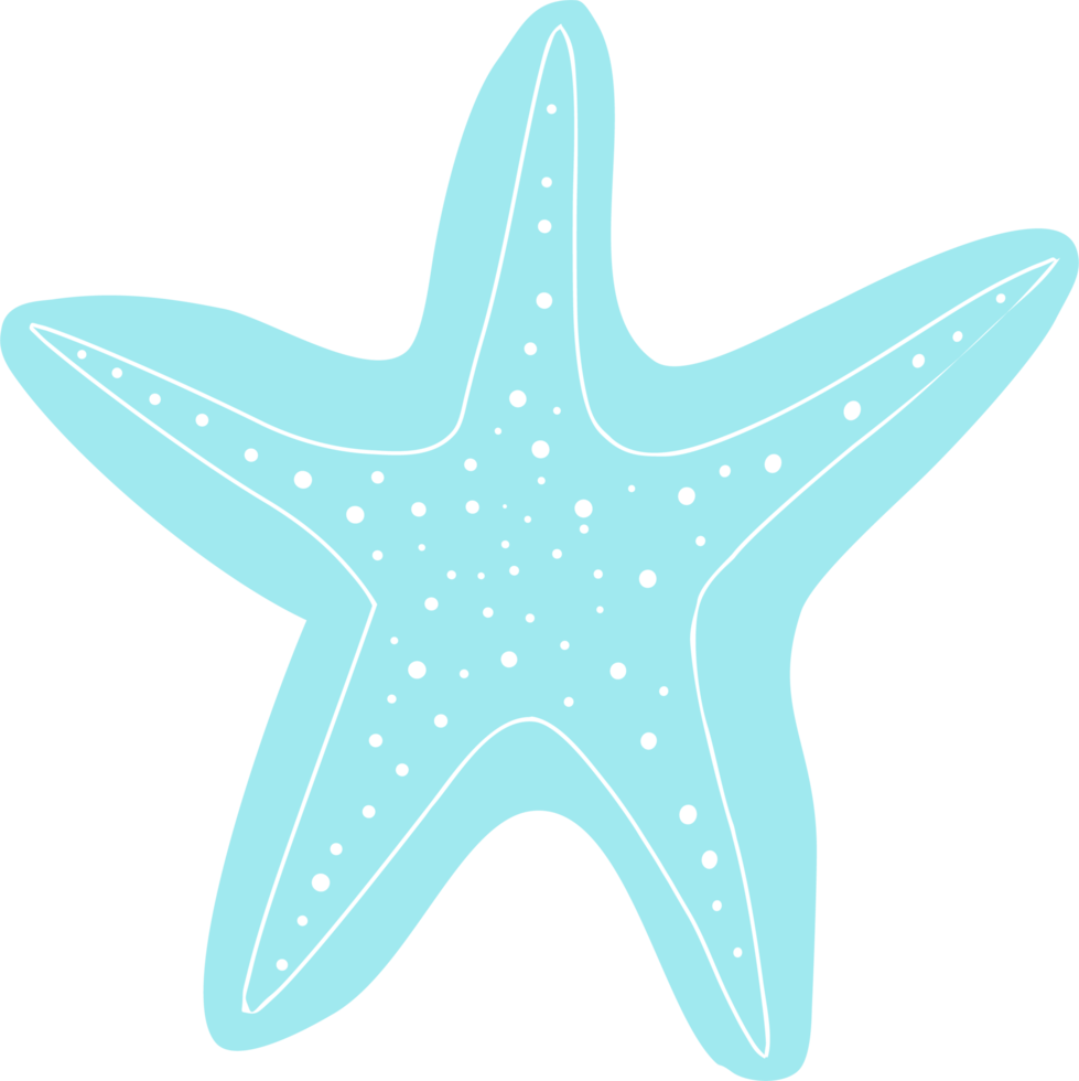 The starfish is a beautiful sea creature that is shaped like a five-pointed star. png