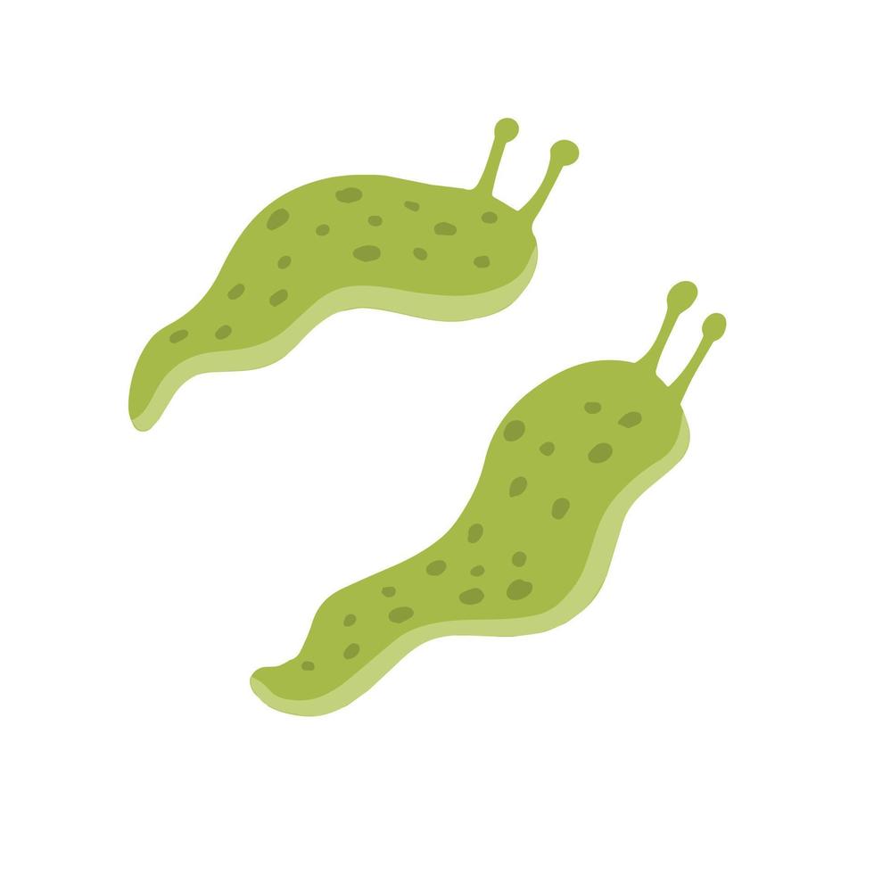 Green slug. Set of slippery insects. Flat cartoon illustration isolated on white background vector