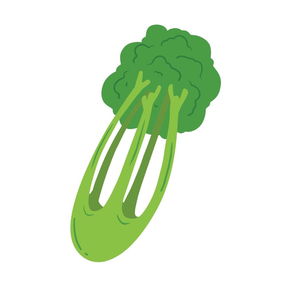 Celery flat icon. Green vegetable. Healthy nutrition. Ingredients for salad isolated on white. vector