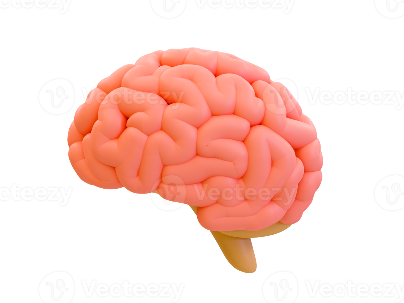 3d minimal brain. learning and education concept. symbol of knowledge. 3d illustration. png