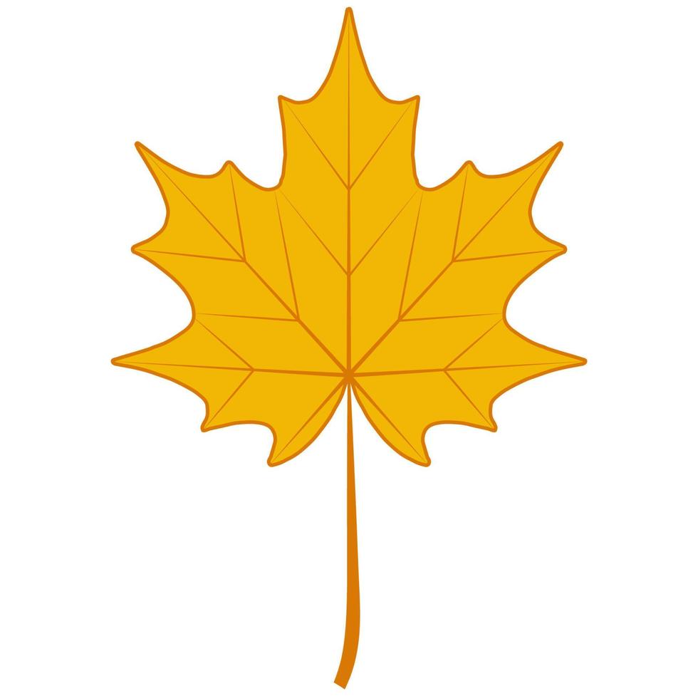 Autumn dry maple leaf, symbol Canada maple autumn fallen leaf vector