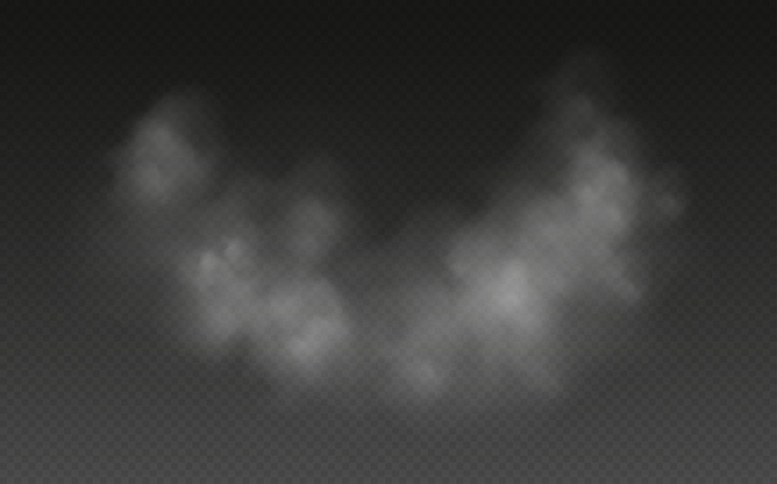 Fog or smoke isolated on transparent background. Realistic smog, haze, mist or cloudiness effect. vector