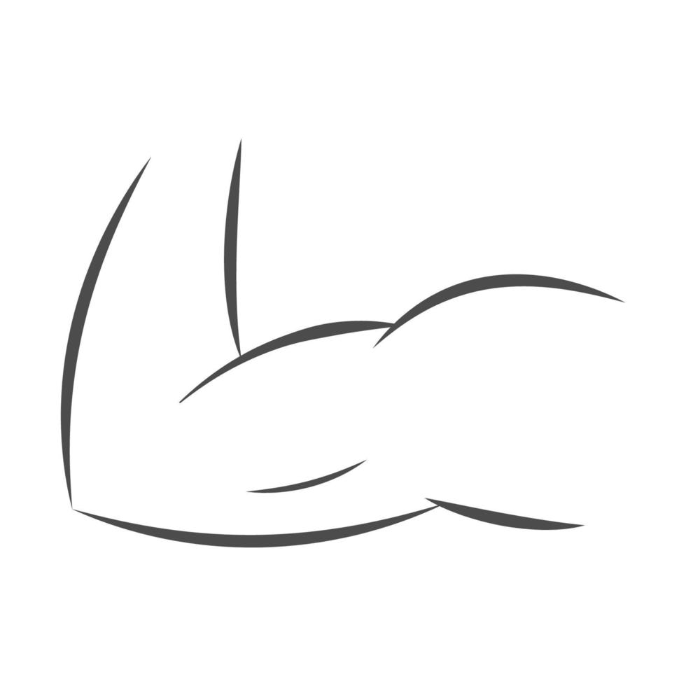 Arm line icon, arm muscle outlines, biceps triceps, athletic structure bodybuilding vector