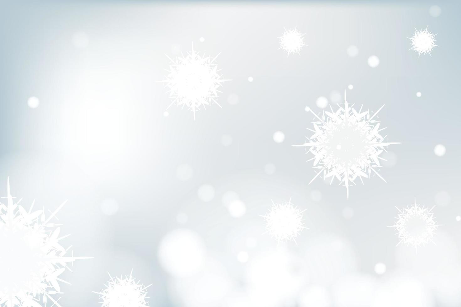 snowflake winter background. vector