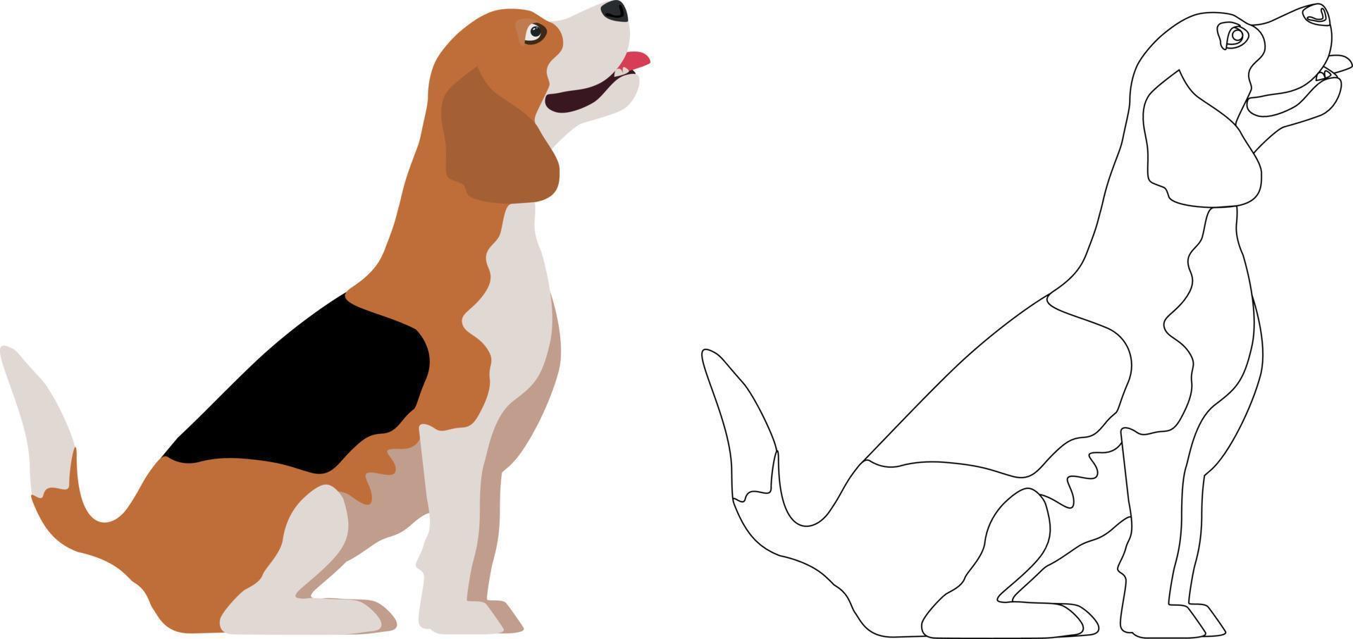 Beagle dog cartoon animal illustration. Funny dog coloring book for kids. Color illustration. Use for children. Add colors vector