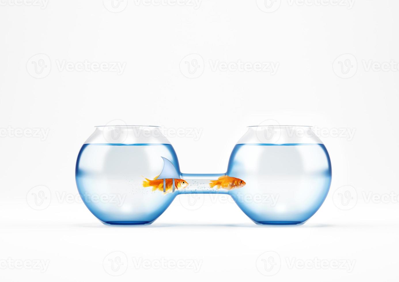 Fake shark wants to reach a red fish but it cannot pass through the passage due to its large size photo