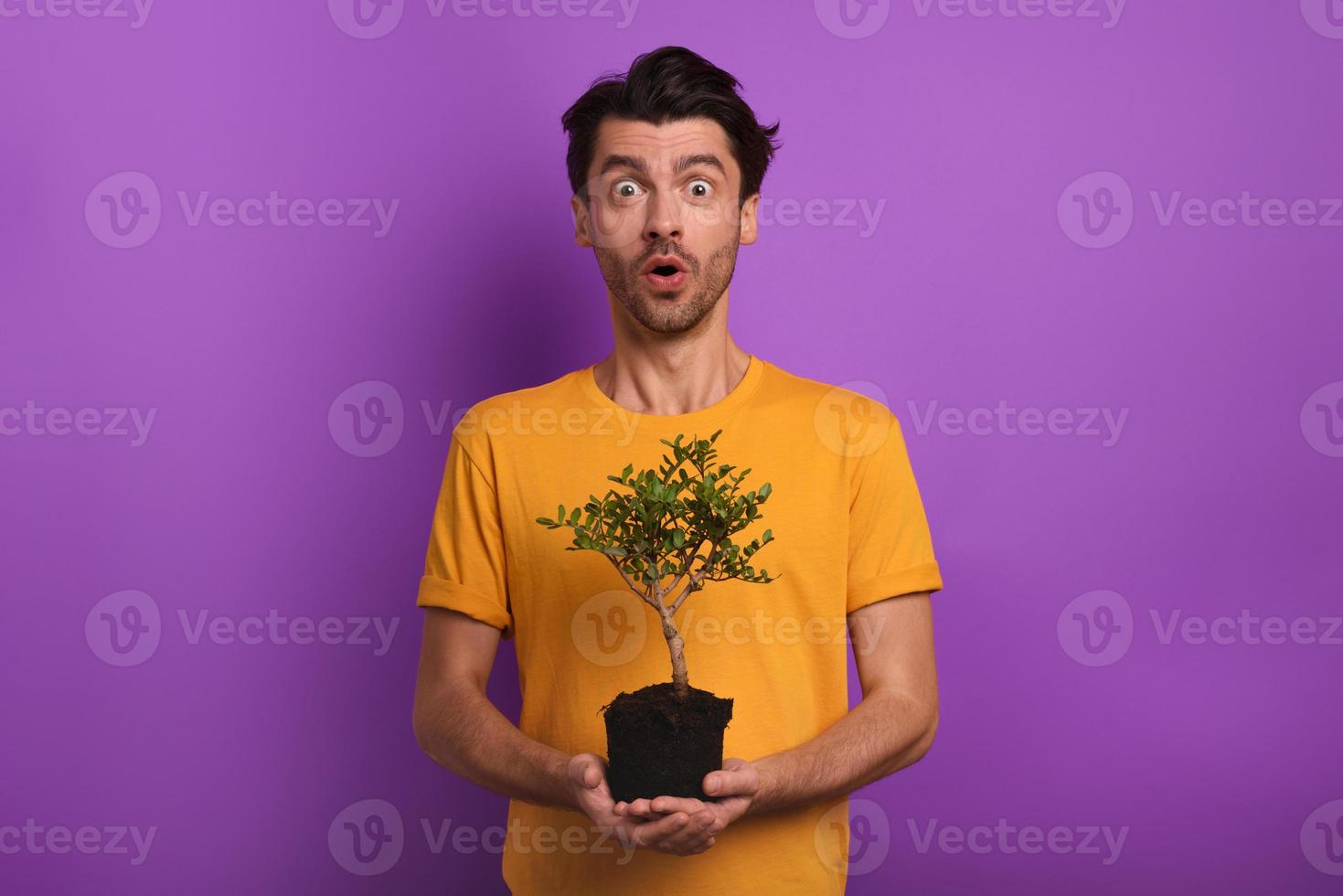 Surprised boy holds a small tree ready to be planted. concept of forestation. background photo