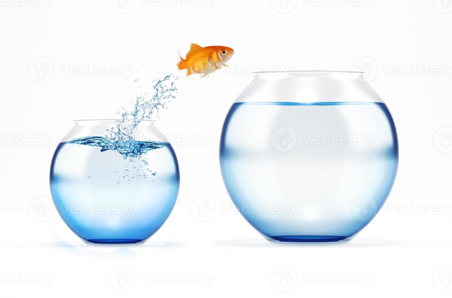 Red fish jumps from a cruet to a bigger one. concept of escape from crowd photo