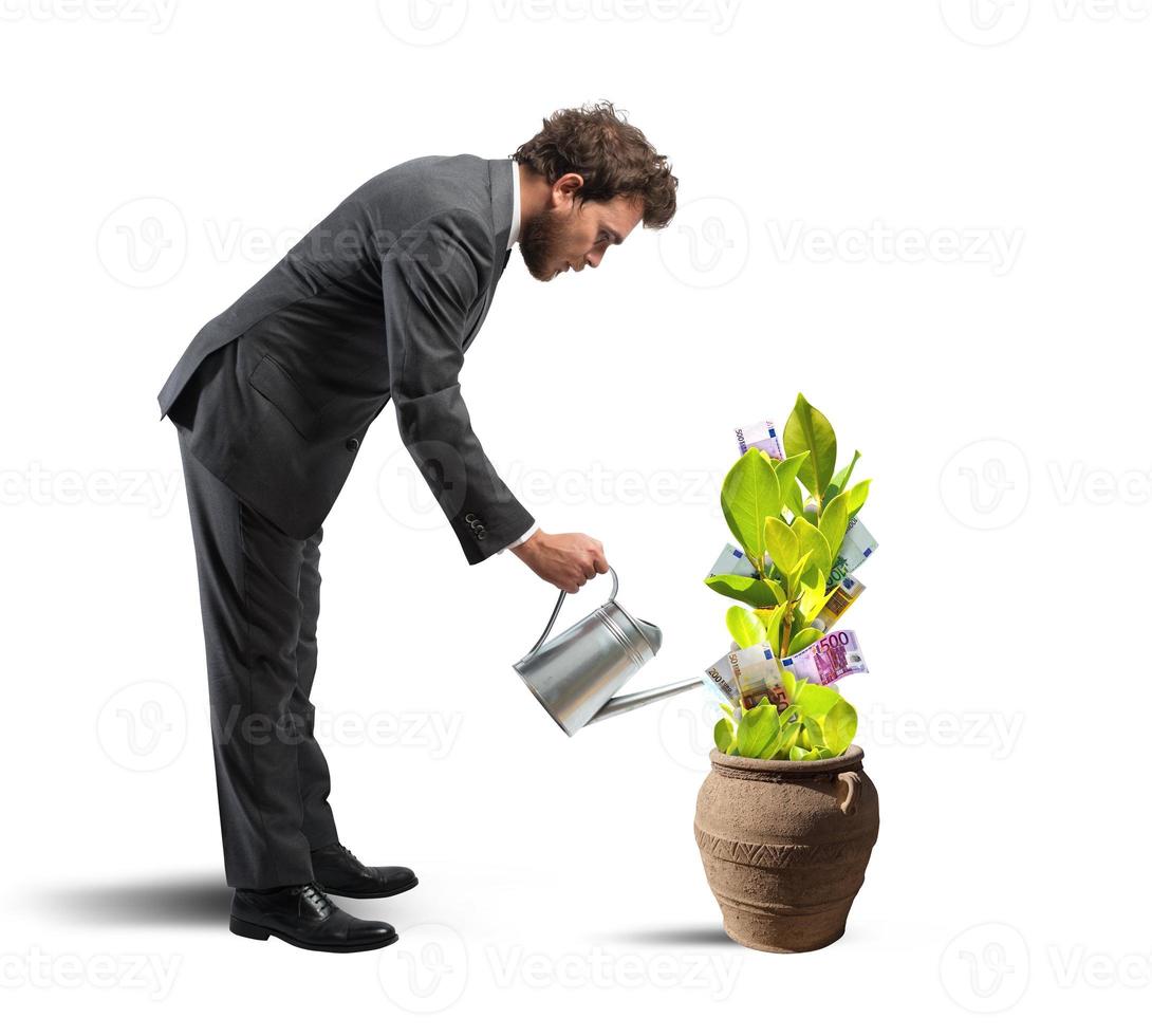 Businessman with a plant of money photo