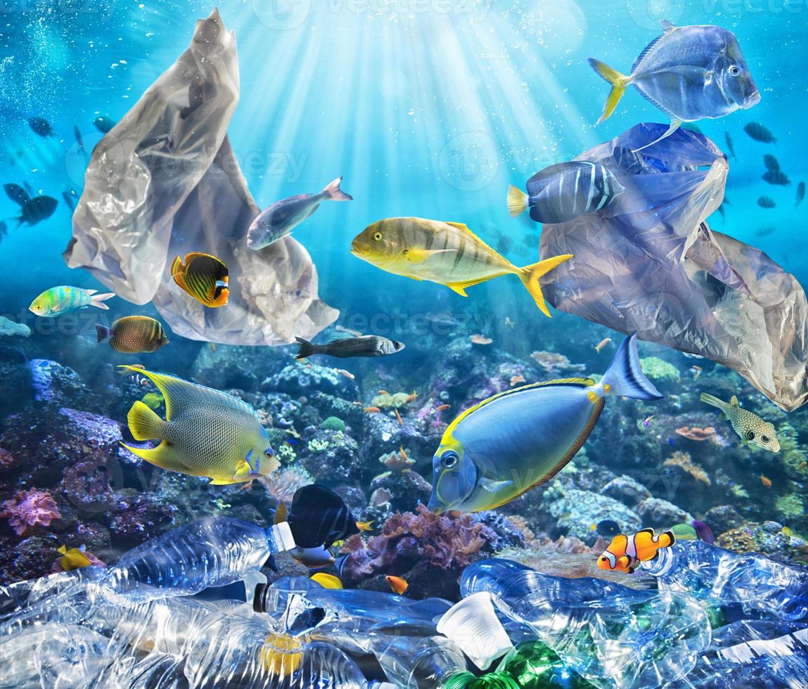 Fishes swims with floating bags. Problem of plastic pollution under the sea concept. photo