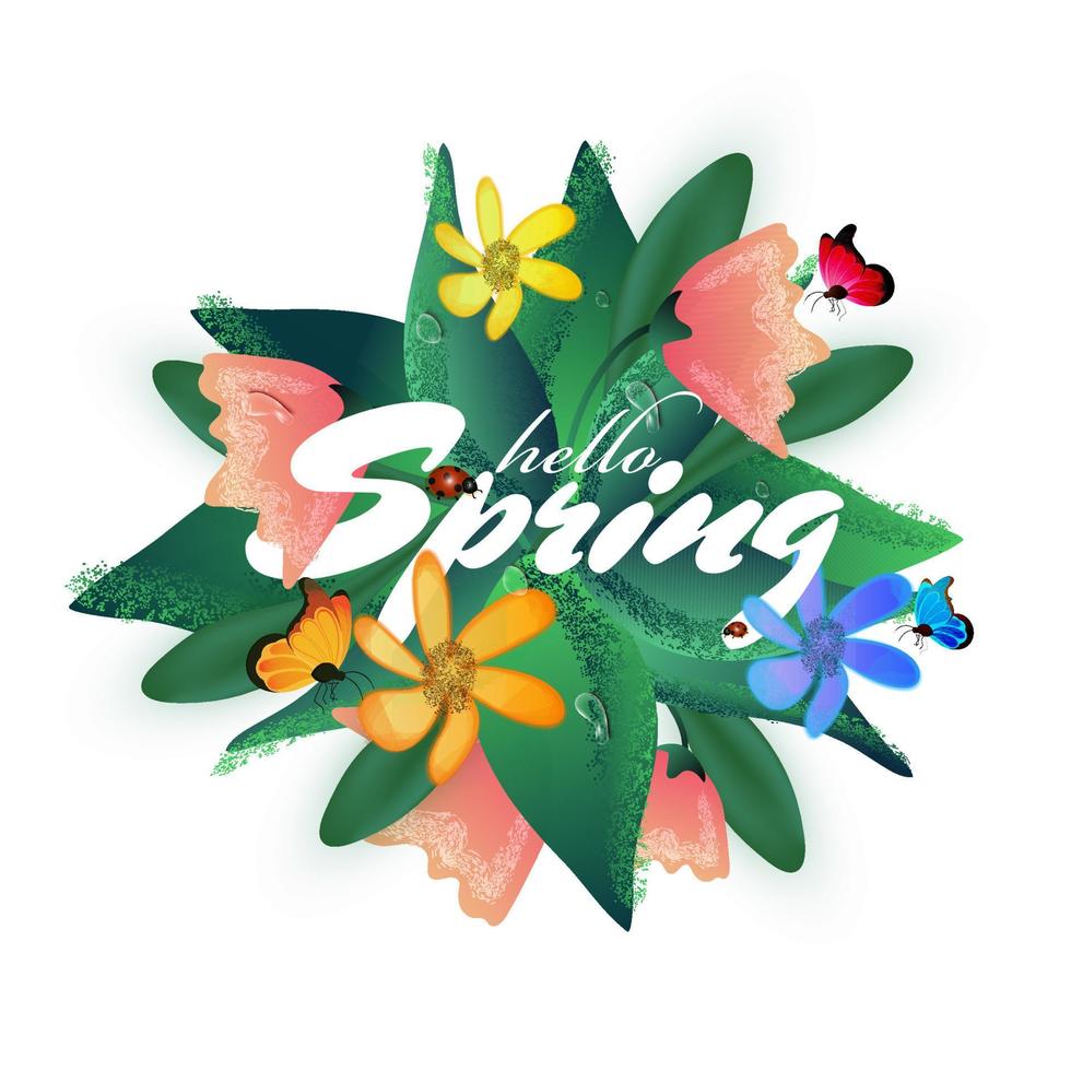 Hola primavera fuente con vistoso flores, hojas, mariposas y mariquitas en blanco antecedentes. vector