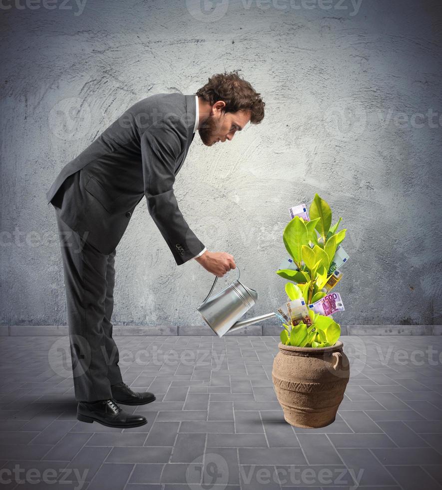 Businessman with a plant of money photo