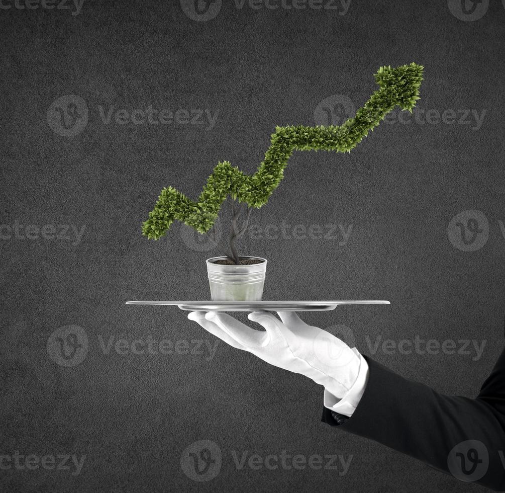 Waiter that holds a tray with a plant shaped as statistic arrow. Concept business success photo