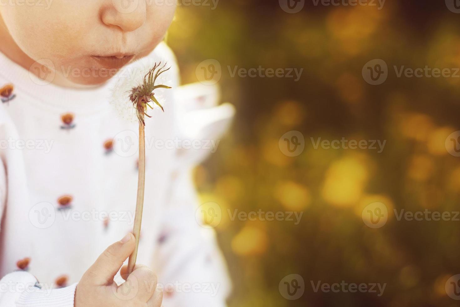 little girl blowing on a dandelion in a field photo
