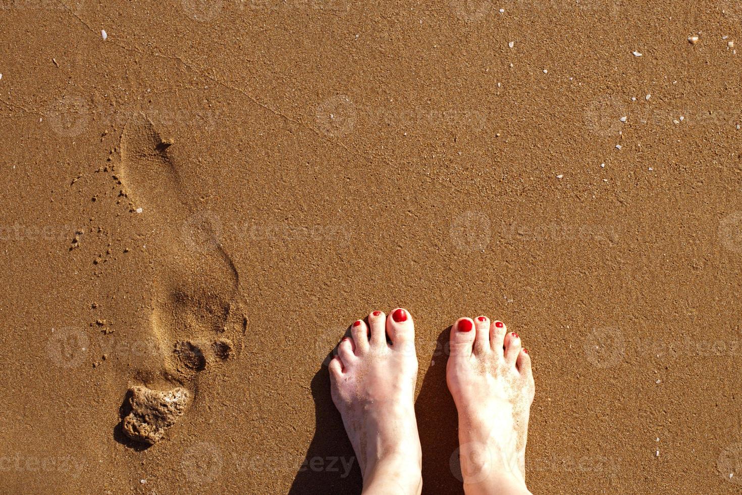 a human footsteps and female feet on a sandy beach photo