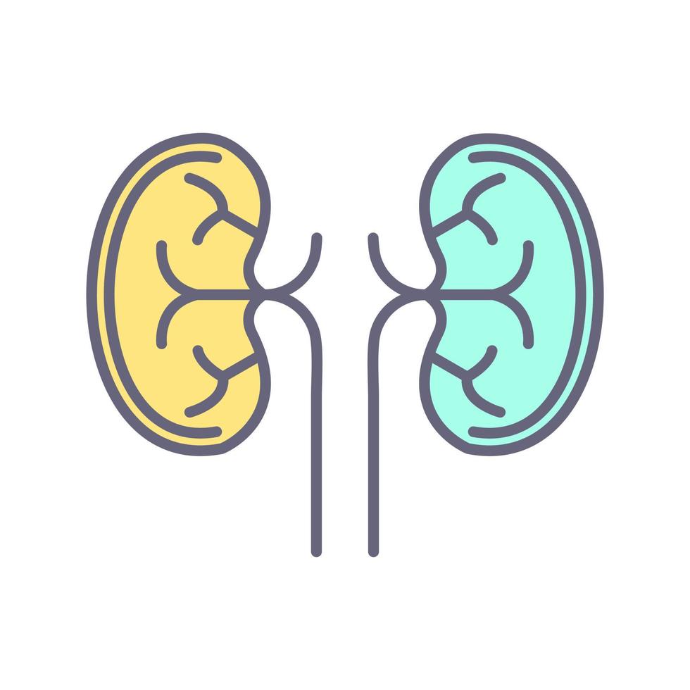 Kidney Unique Vector Icon