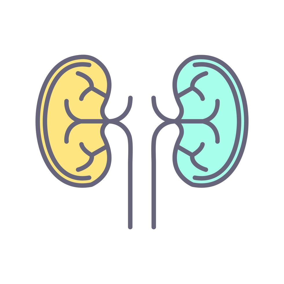 Kidney Unique Vector Icon