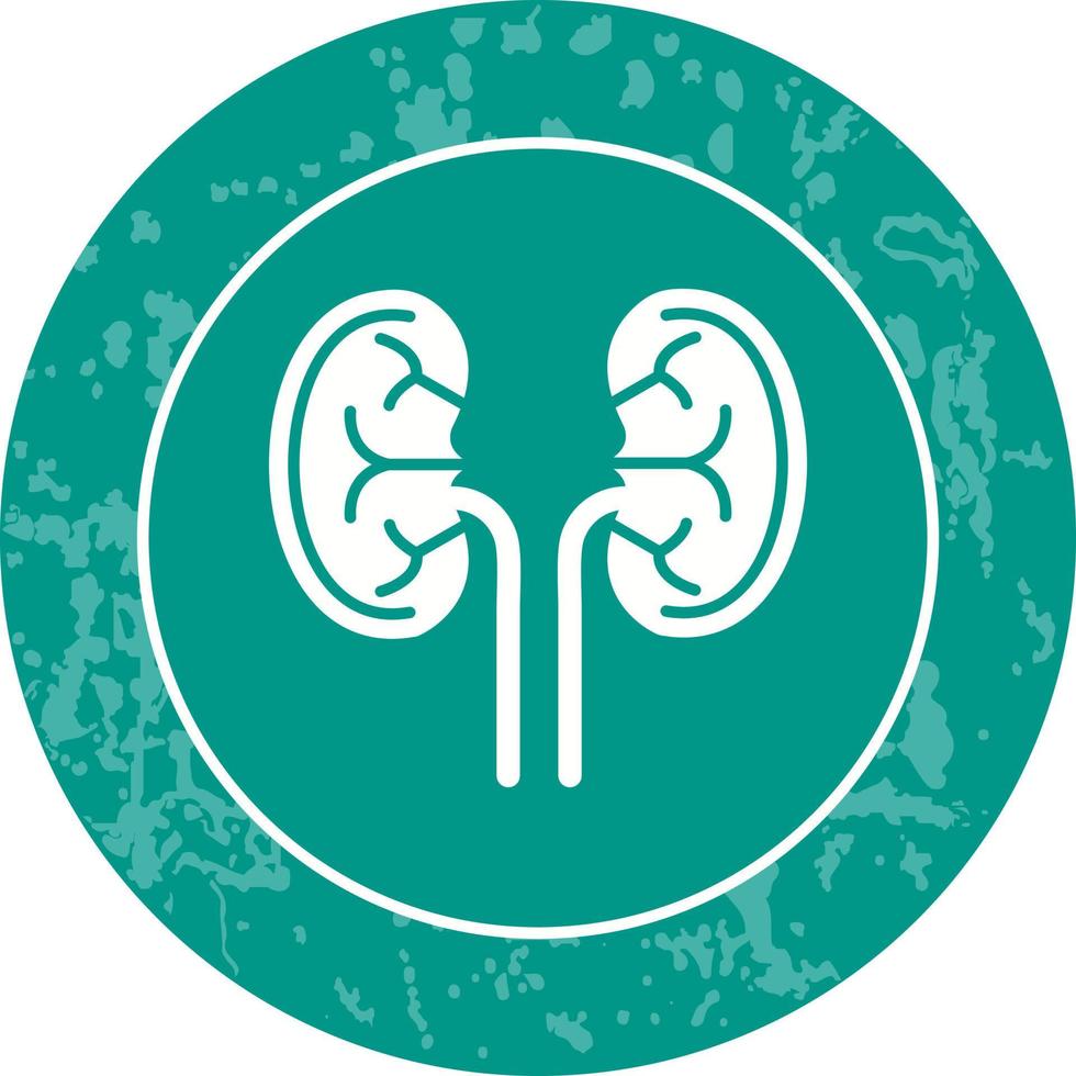 Kidney Unique Vector Icon