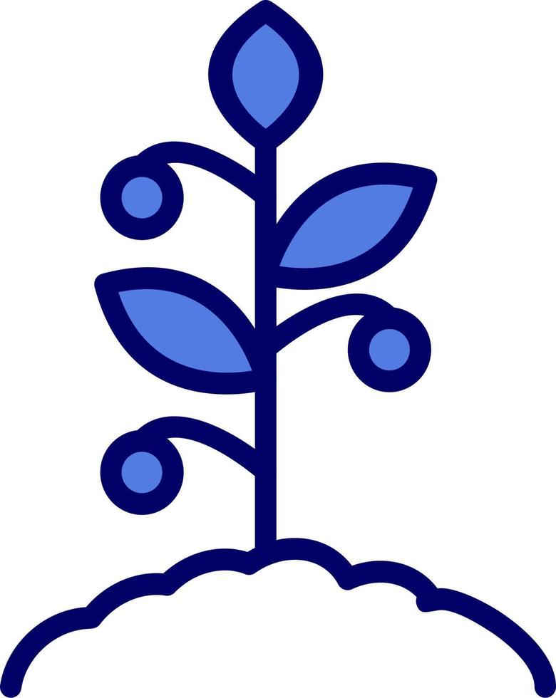 Tomato Vector Icon