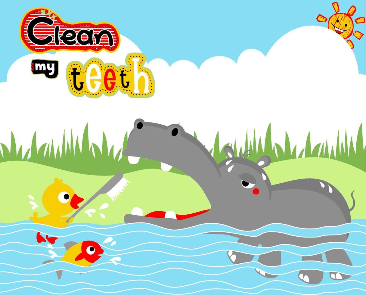 Funny animals in river, little duck brushing hippo teeth, vector cartoon illustration