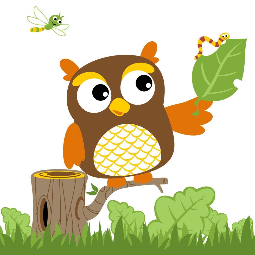 Nice owl on tree branches holding leaf with insects, vector cartoon illustration