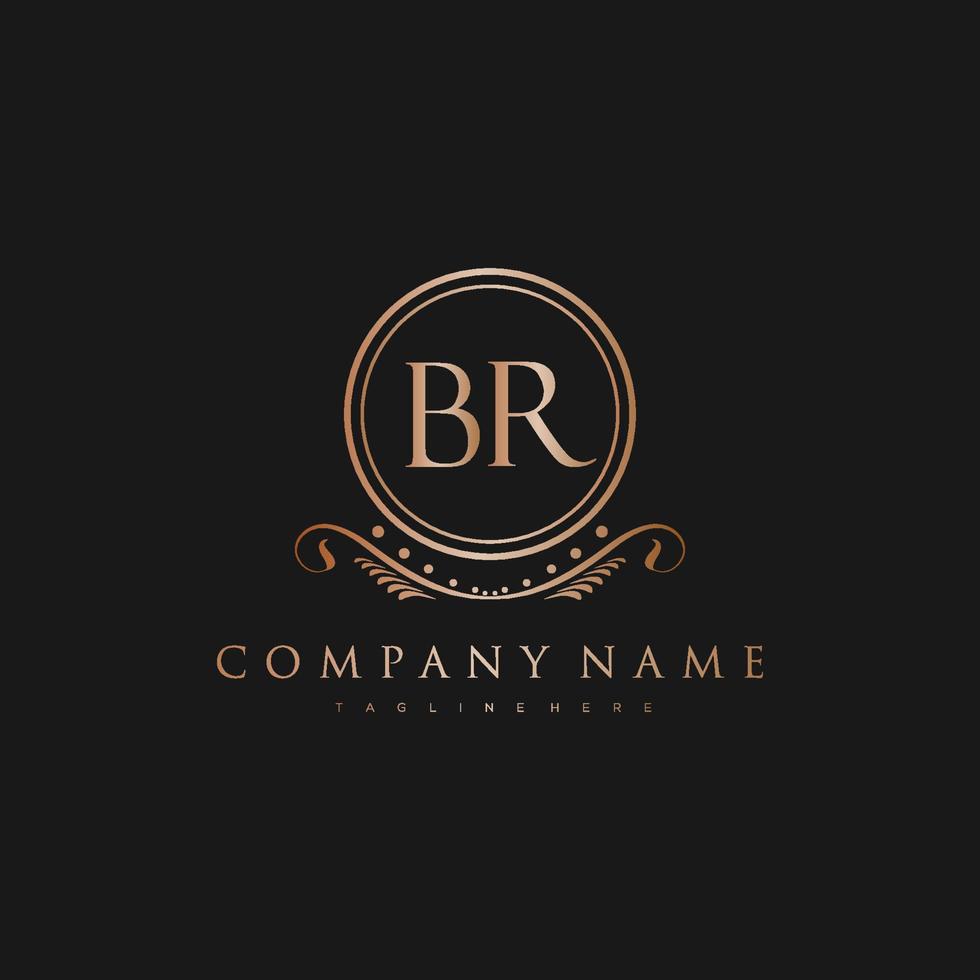 BR Letter Initial with Royal Luxury Logo Template vector