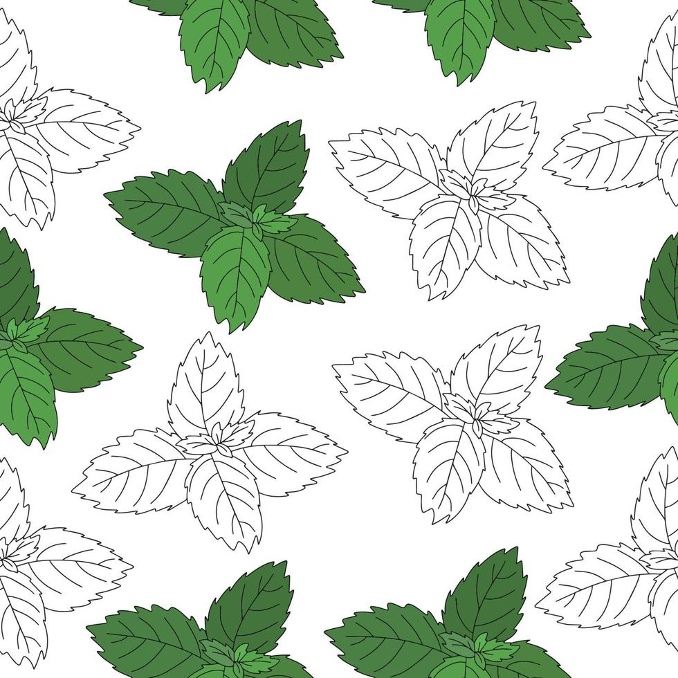 Seamless pattern of mint leaf icon. Isolated illustration of a mint leaf icon in linear style on a white background vector