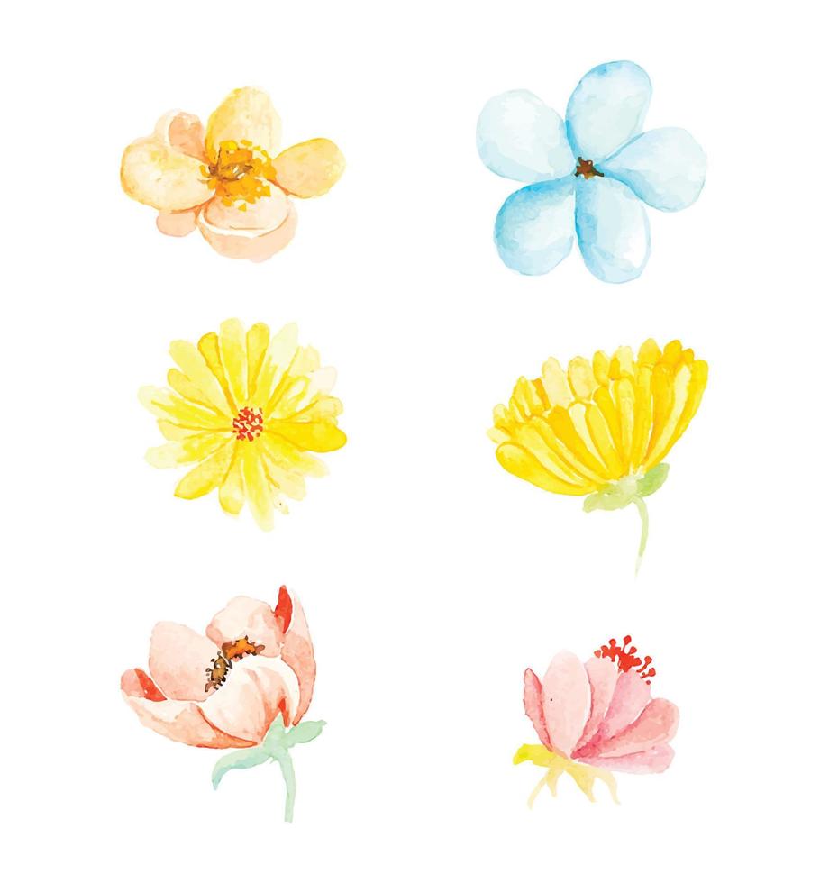 Beautiful watercolor spring flowers vector