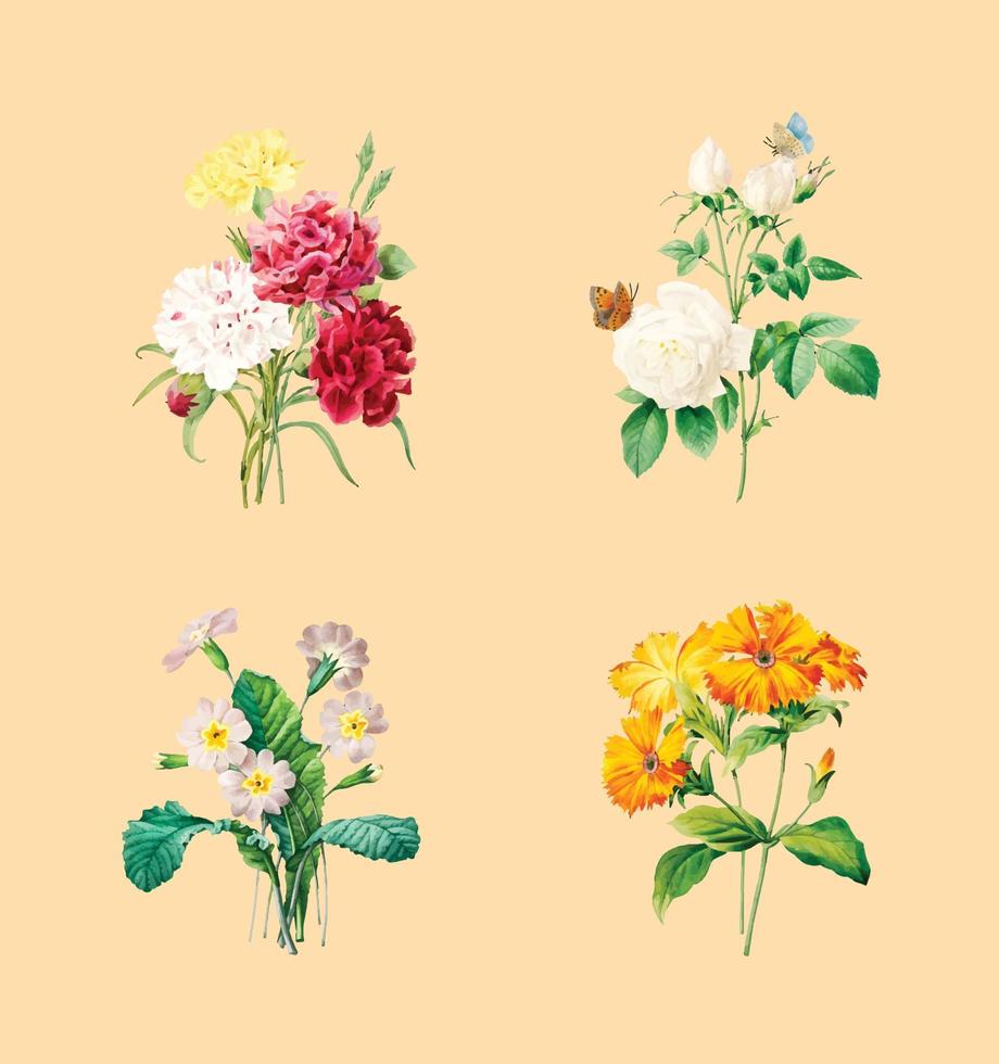 Blooming wildflowers vector set