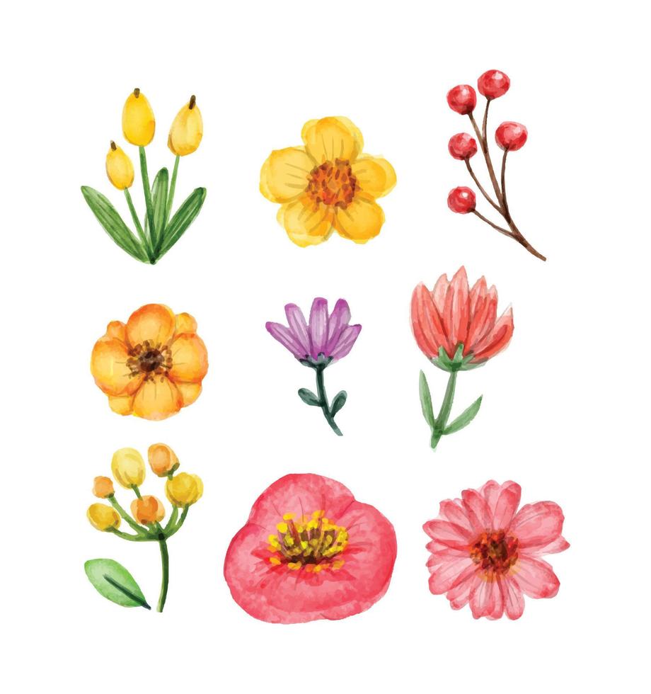 Beautiful watercolor flower set vector
