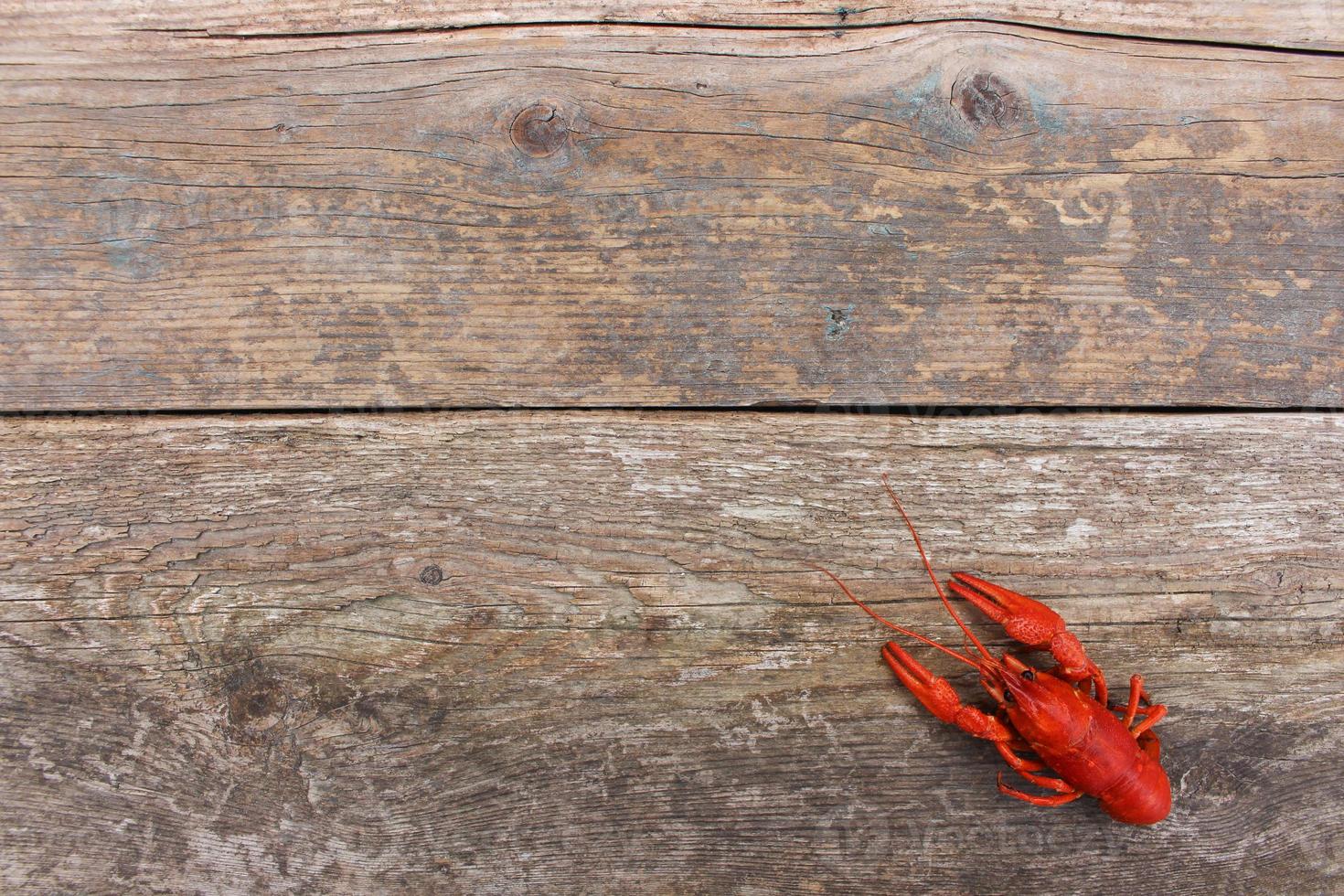 Crawfish on the old wooden background. Top view. photo