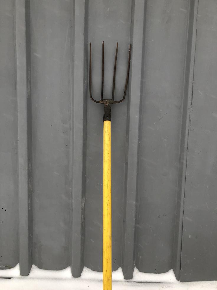 Garden pitchfork four-horned with a handle photo