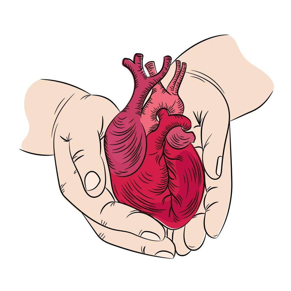 corazón y manos salud símbolo medicina humano mano dibujado impresión vector