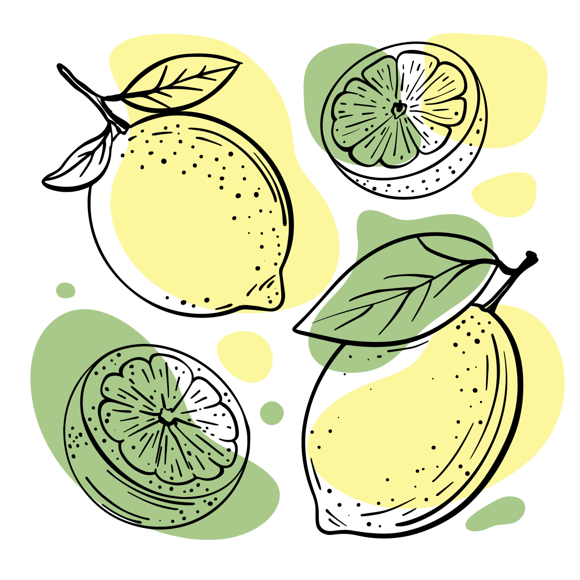 Lime line icon in vector, citrus fruit illustration 29454155 Vector Art at  Vecteezy