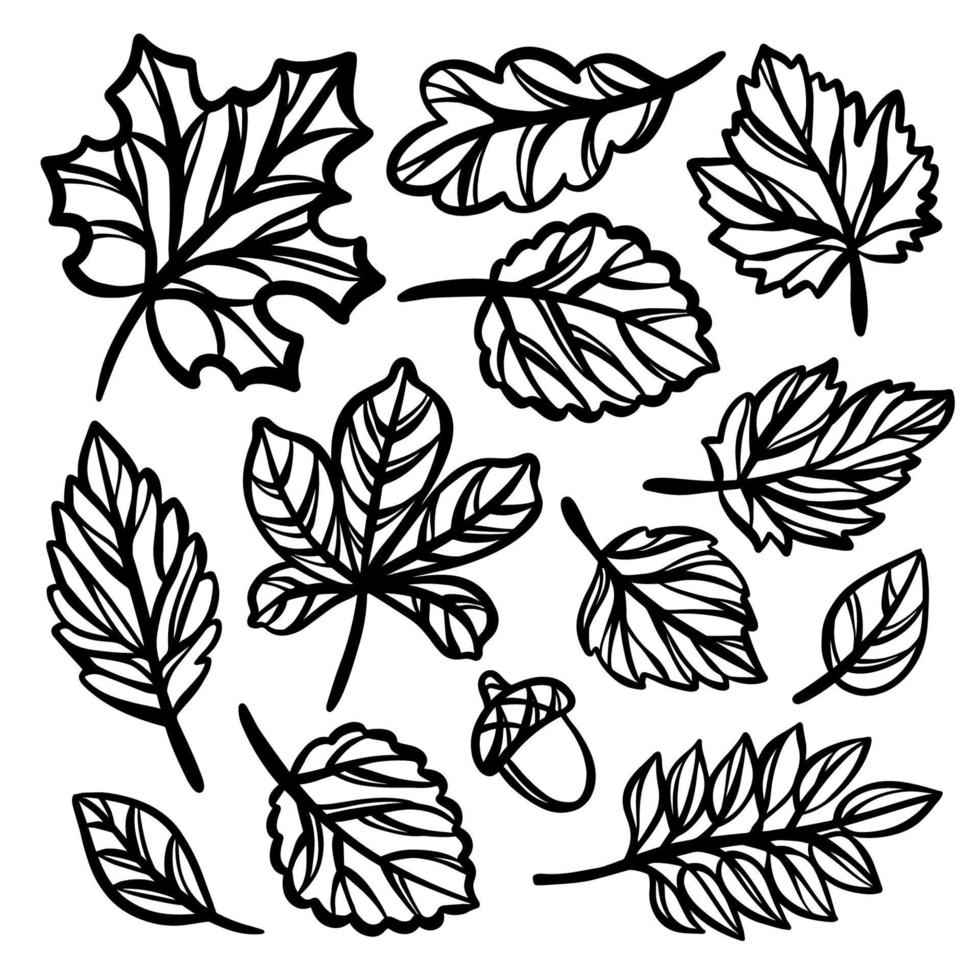 hojas otoño monocromo calado vector ilustración conjunto